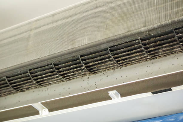 Best Affordable Air Duct Cleaning  in Stanton, TX